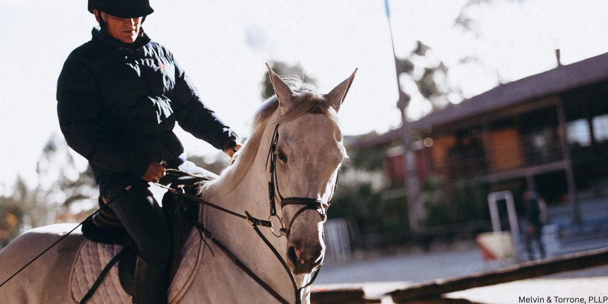 Police officer about to stop someone for DUI on a horse in Washington State